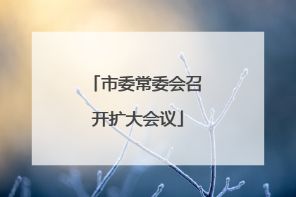 市委常委会召开扩大会议