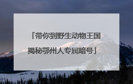 带你到野生动物王国揭秘鄂州人专属暗号