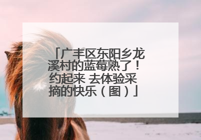 广丰区东阳乡龙溪村的蓝莓熟了！约起来 去体验采摘的快乐（图）