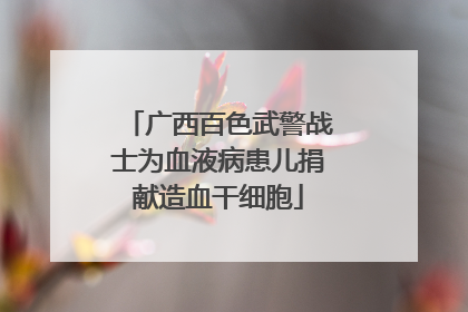 广西百色武警战士为血液病患儿捐献造血干细胞