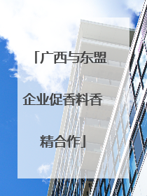 广西与东盟企业促香料香精合作