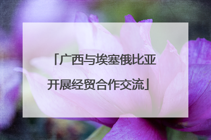 广西与埃塞俄比亚开展经贸合作交流