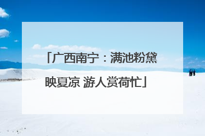广西南宁：满池粉黛映夏凉 游人赏荷忙