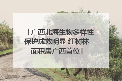 广西北海生物多样性保护成效明显 红树林面积居广西首位