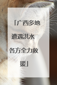 广西多地遭遇洪水 各方全力救援
