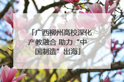 广西柳州高校深化产教融合 助力“中国制造”出海