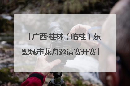 广西·桂林（临桂）东盟城市龙舟邀请赛开赛