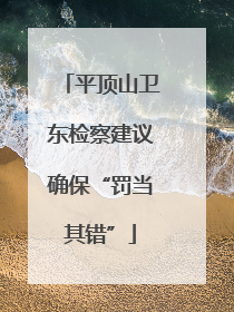 平顶山卫东检察建议确保“罚当其错”