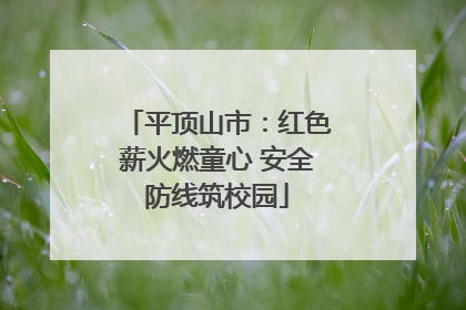 平顶山市：红色薪火燃童心 安全防线筑校园