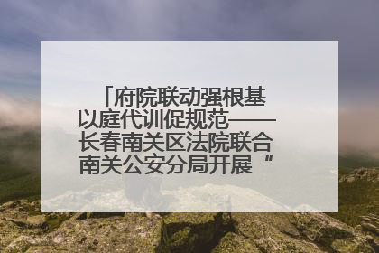 府院联动强根基 以庭代训促规范——长春南关区法院联合南关公安分局开展“以庭代训”