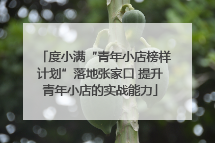 度小满“青年小店榜样计划”落地张家口 提升青年小店的实战能力