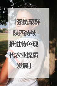 强链聚群 陕西持续推进特色现代农业提质发展