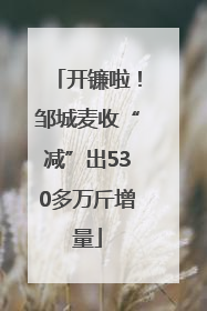 开镰啦！邹城麦收“减”出530多万斤增量