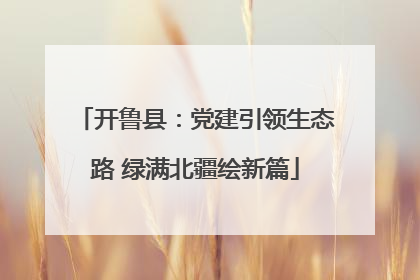 开鲁县：党建引领生态路 绿满北疆绘新篇