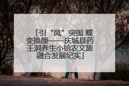 引“凤”突围 蝶变换颜——庆城县药王洞养生小镇农文旅融合发展纪实