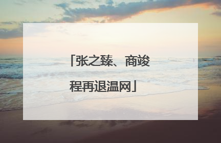 张之臻、商竣程再退温网