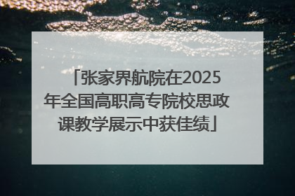 张家界航院在2025年全国高职高专院校思政课教学展示中获佳绩