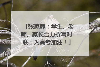 张家界：学生、老师、家长合力撰写对联，为高考加油！