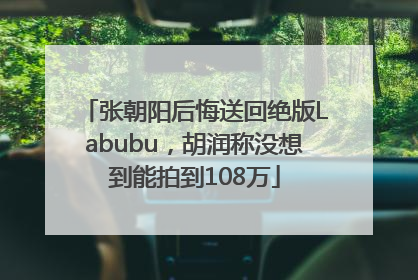 张朝阳后悔送回绝版Labubu，胡润称没想到能拍到108万