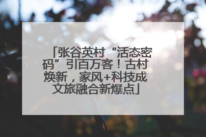 张谷英村“活态密码”引百万客！古村焕新，家风+科技成文旅融合新爆点