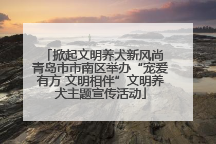 掀起文明养犬新风尚 青岛市市南区举办“宠爱有方 文明相伴”文明养犬主题宣传活动