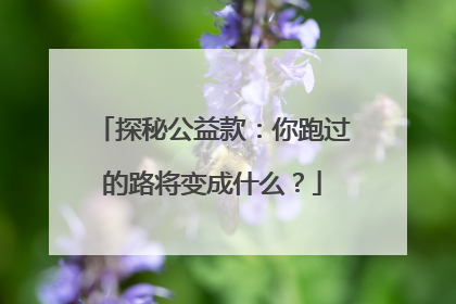 探秘公益款：你跑过的路将变成什么？