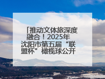 推动文体旅深度融合！2025年沈阳市第五届“联盟杯”橄榄球公开赛燃情开赛