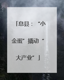 息县：“小金蛋”撬动“大产业”