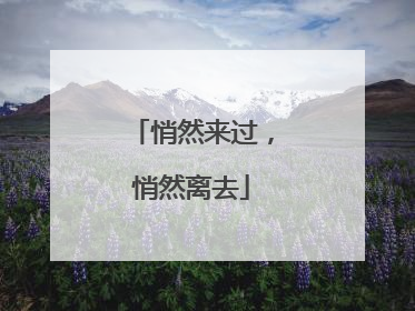 悄然来过，悄然离去
