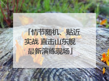 情节随机、贴近实战 直击山东舰最新演练现场