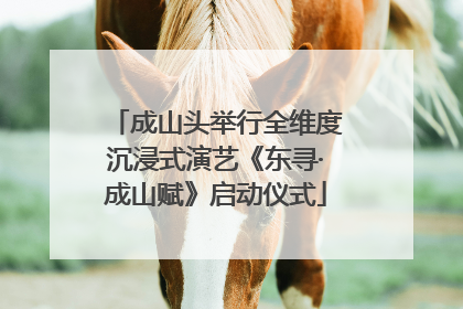 成山头举行全维度沉浸式演艺《东寻·成山赋》启动仪式