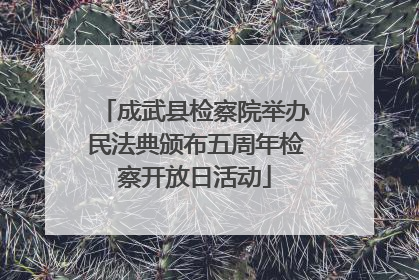 成武县检察院举办民法典颁布五周年检察开放日活动