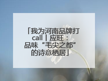 我为河南品牌打call丨应旺：品味“毛尖之都”的诗意栖居