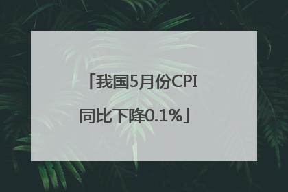 我国5月份CPI同比下降0.1%