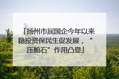 扬州市属国企今年以来稳投资保民生促发展，“压舱石”作用凸显