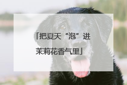 把夏天“泡”进茉莉花香气里