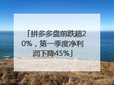 拼多多盘前跌超20%，第一季度净利润下降45%