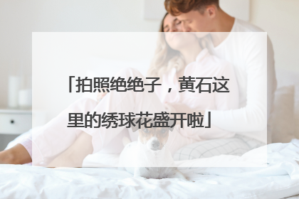 拍照绝绝子，黄石这里的绣球花盛开啦