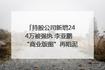 持股公司新增244万被强执 李亚鹏“商业版图”再陷泥潭？｜科技观察