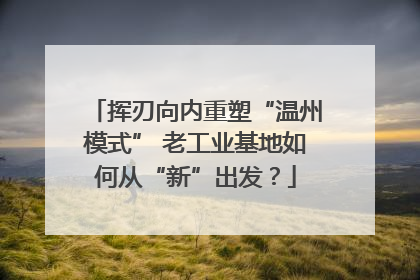 挥刃向内重塑“温州模式” 老工业基地如何从“新”出发？