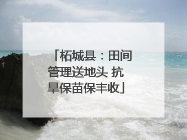 柘城县：田间管理送地头 抗旱保苗保丰收