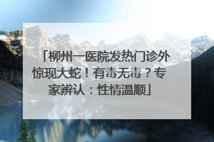 柳州一医院发热门诊外惊现大蛇！有毒无毒？专家辨认：性情温顺