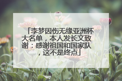 李梦因伤无缘亚洲杯大名单，本人发长文致谢：感谢祖国和国家队，这不是终点