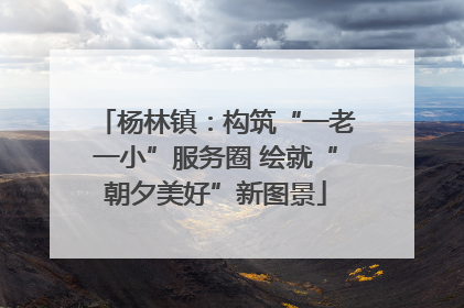 杨林镇：构筑“一老一小”服务圈 绘就“朝夕美好”新图景