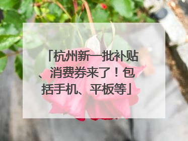 杭州新一批补贴、消费券来了！包括手机、平板等