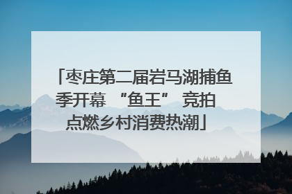 枣庄第二届岩马湖捕鱼季开幕 “鱼王” 竞拍点燃乡村消费热潮