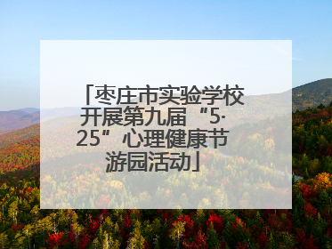 枣庄市实验学校开展第九届“5·25”心理健康节游园活动