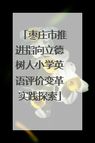 枣庄市推进指向立德树人小学英语评价变革实践探索