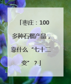 枣庄：100多种石榴产品，靠什么“七十二变”？