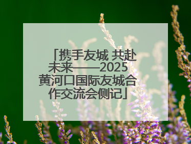 携手友城 共赴未来——2025黄河口国际友城合作交流会侧记